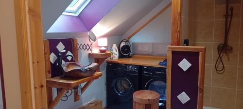 - une buanderie avec lave-linge et sèche-linge dans l'établissement Maison Canal de Nantes à Brest, à Paule