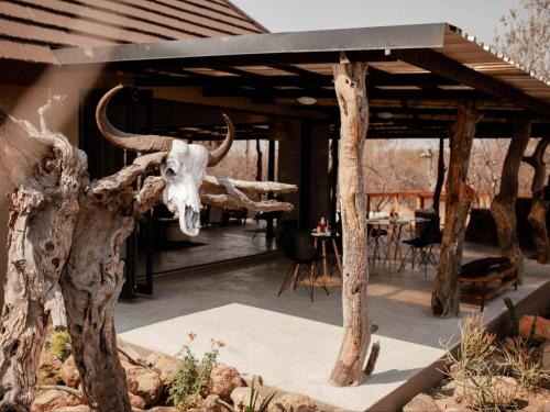 a skull of a bull with horns hanging from a building at Maroelani Lodge- Greater Kruger Private Reserve in Hoedspruit