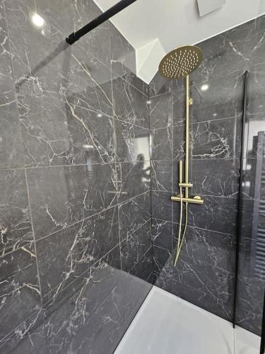 La salle de bains est pourvue d'une douche et de murs en marbre noir. dans l'établissement Le St Antoine - Centre Ville - Parking, à Belfort