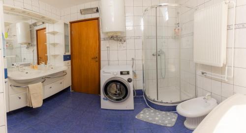 a bathroom with a washing machine and a toilet at Rooms Kozarje in Ljubljana