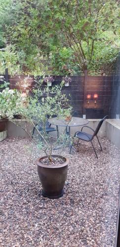 a potted plant in a yard with a table and chairs at Pink Granite Garden of Ireland in Tinahely
