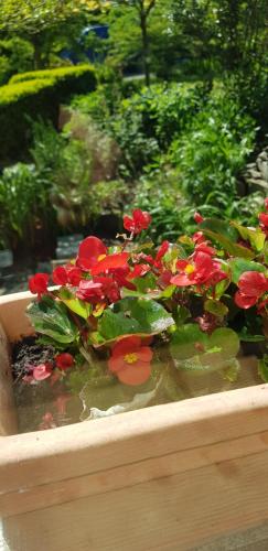a wooden planter with red flowers in it at Pink Granite Garden of Ireland in Tinahely