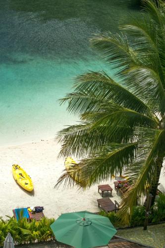 a beach with a yellow kayak and a palm tree at Sea Passion Hotel in Koror