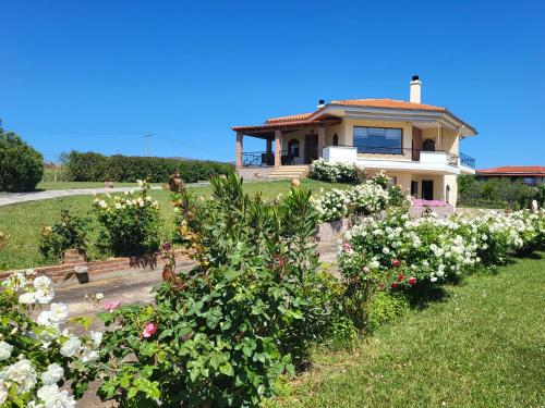 Villa Harry's