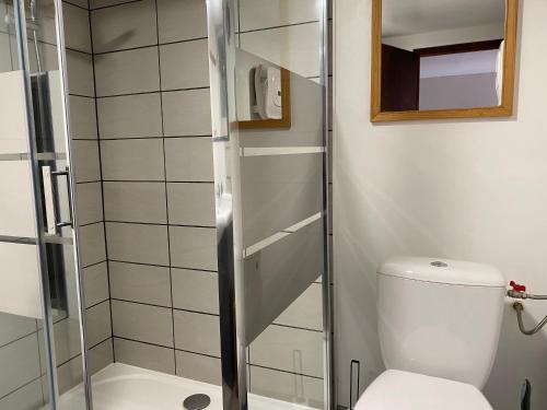 een badkamer met toilet en glazen douche bij Aux Trois Gîtes in La Chapelle