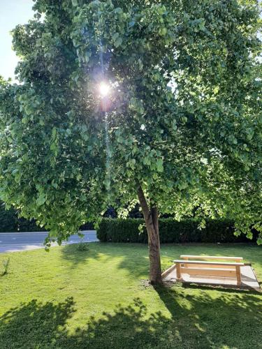 a wooden bench under a tree in a park at apartma Vila TARA in Prebold