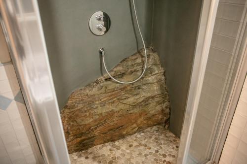 een douche in een badkamer met een grote rots bij B&B Al Bodregon in Bagnone