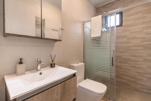 a bathroom with a sink and a toilet and a shower at Zante Melina's Apartment in Argassi