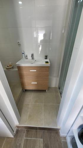 une salle de bain avec un lavabo et une douche dans l'établissement 2 pièces d'environ 25m2, à Torcy