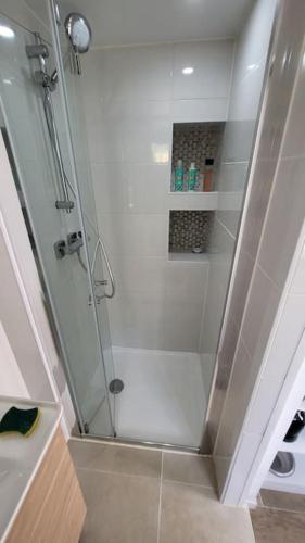 une douche avec une porte vitrée dans une salle de bain dans l'établissement 2 pièces d'environ 25m2, à Torcy