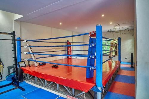 a blue and red boxing ring in a room at Cozy Suite In Bacab Mansion in Cancún