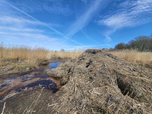 a large pile of dirt in a field at Beach house Tolsburg with sauna in Toolse