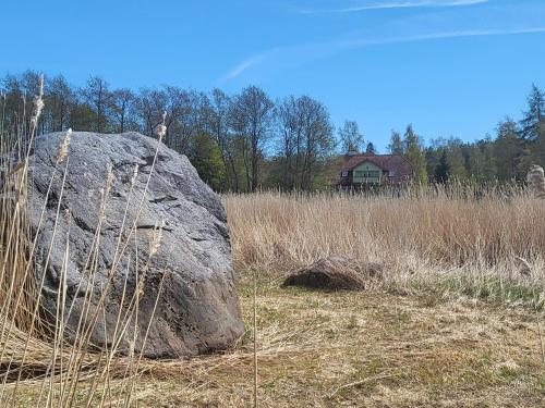 a large rock in a field with a house in the background at Beach house Tolsburg with sauna in Toolse