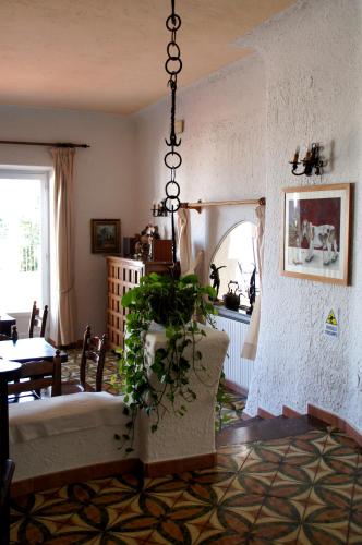Posezení v ubytování Hotel Don Pedro