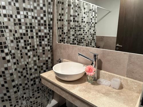 a bathroom with a sink and a mirror at Mono ambiente Campus Vista Pilar in La Lonja