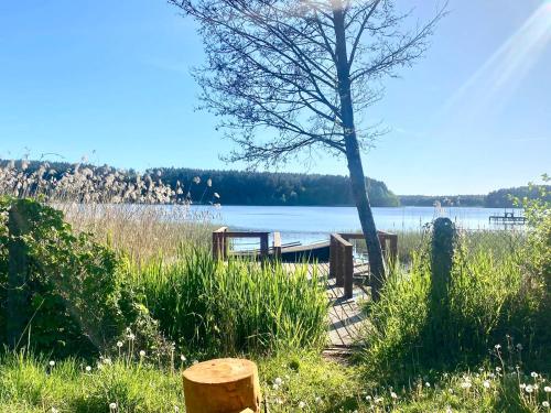 a dock with a tree and a body of water at Zielona Mila in Sępólno Krajeńskie