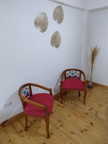zwei Stühle und eine Wand mit zwei Blättern an der Wand in der Unterkunft Departamento Pleno Centro in San Salvador de Jujuy