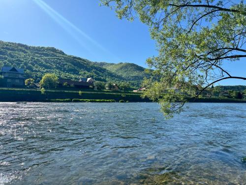 a view of a river with mountains in the background at Willa Wioletta in Tylmanowa