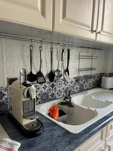 - un comptoir de cuisine avec évier et ustensiles dans l'établissement Appartement 20 mts plage, pl Méditerranée, vue mer parking, à Canet