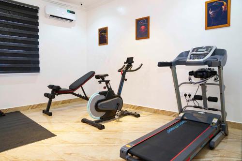 a gym with two exercise bikes and a treadmill at Aurora Smart Residence, Wuse 2, Abuja in Abuja