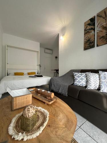 un salon avec un lit et un canapé dans l'établissement Appartement 20 mts plage, pl Méditerranée, vue mer parking, à Canet