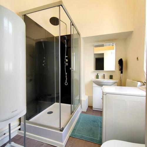 une salle de bain avec douche et lavabo dans l'établissement Le moineau -Poterne -Parking gratuit -Calme-Centre, à Valenciennes