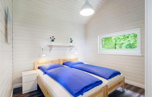 2 Betten in einem Zimmer mit Fenster in der Unterkunft Stunning Home In Krems Ii-warderbrck With Sauna in Göls