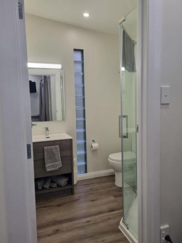 a bathroom with a toilet and a sink and a mirror at Number 32 in Taumarunui