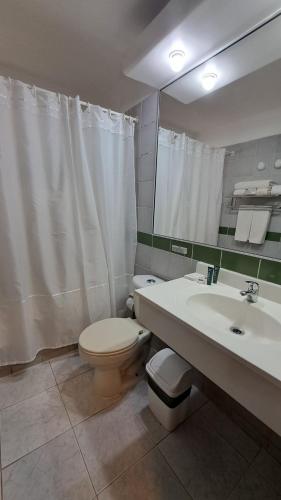 a bathroom with a toilet and a sink and a mirror at Hotel Diego de Almagro San Pedro De Atacama in San Pedro de Atacama