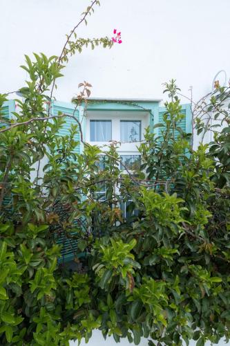 a building with a bunch of plants in front of it at Breathe Hotel in Batroûn