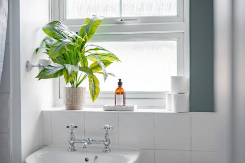 a bathroom sink with a plant on a window sill at Stylish home w/ parkng, fst wifi in Cambourne