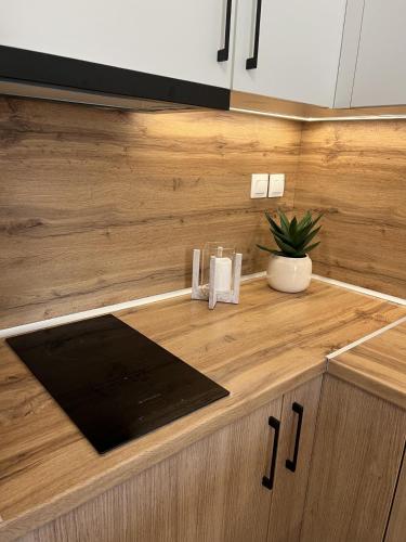 a kitchen counter with a wooden counter top at Ioannis Villa in Nea Fokea