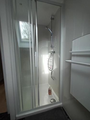 une douche avec une porte vitrée dans une salle de bain dans l'établissement La maison de Théophile, à La Bastide-lʼÉvêque