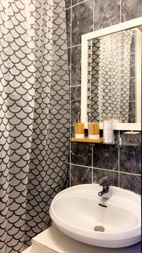 une salle de bain avec un lavabo et un miroir dans l'établissement 213 Ile des pêcheurs, Vue port, au Cap d'Agde