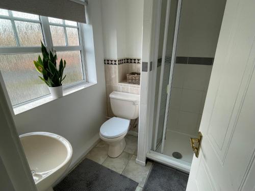 ein Bad mit einem WC, einem Waschbecken und einem Fenster in der Unterkunft Quiet 3 bed home in Stafford