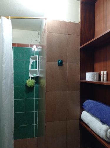 ein Bad mit einer Dusche und grünen Fliesen in der Unterkunft DEPARTAMENTO completo cercano a muchos lugares in Huamboya