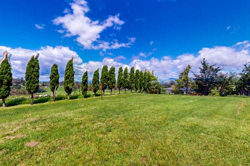 a field with a row of trees in a park at Vineyard Estate in Cotati