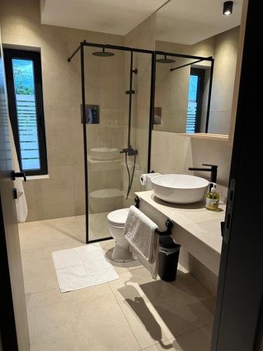 a bathroom with a toilet and a sink and a shower at Villa Number 6 - apartment complex in Skopje
