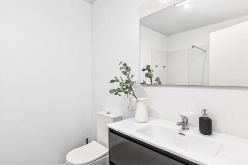 bagno con lavandino, servizi igienici e specchio di La Grama I comodidad y excelente ubicación a Breña Alta