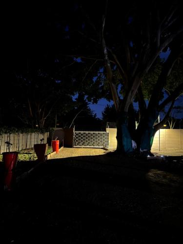 a dark yard with a tree and a fence at STAY In TEHAMA in Cape Town