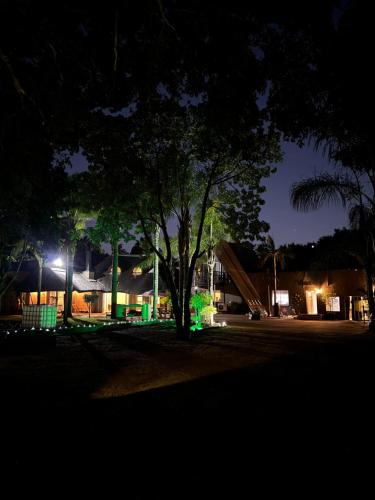 a tree in the middle of a park at night at STAY In TEHAMA in Cape Town
