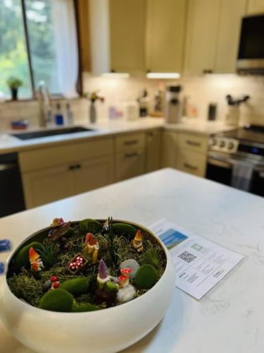 a bowl of food on a counter in a kitchen at Perch - Ellie's Secret Cabin in Coupeville