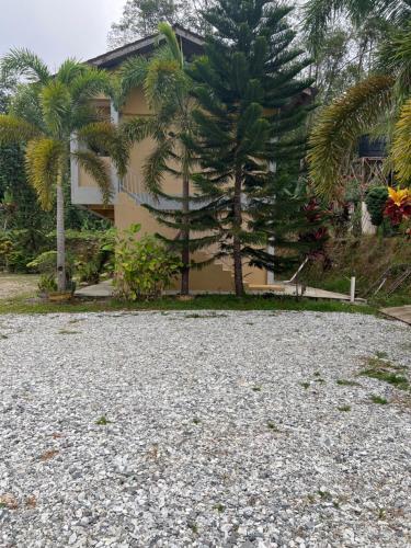 a house with palm trees and a gravel driveway at Country house Pulai Holiday Village in Gua Musang