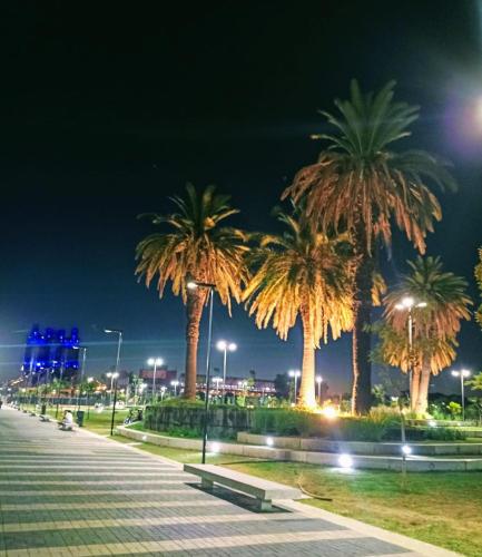 a boardwalk with palm trees at night at Alquidepto in Sarandí