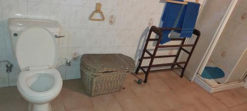 a bathroom with a toilet and a ladder in it at The Villa Marcelle in Negombo