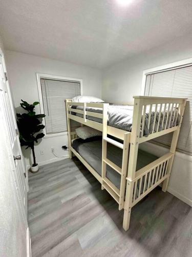 a bedroom with two bunk beds and a window at Modern cozy with pool and big backyard in Tampa