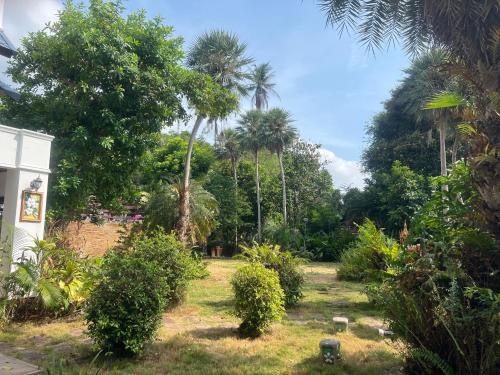 a garden with palm trees and bushes in a yard at Samui Seabreeze Place in Lamai