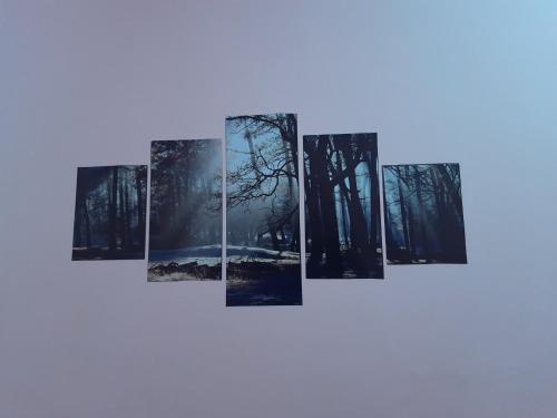 a group of trees in a forest with at Habib Inn in Srīvardhan