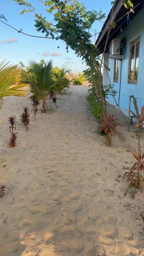 a house on a sandy beach with palm trees at Beach Escape in Arugam Bay