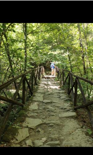 een brug in een bos met twee mensen erop. bij La collina in Dicomano